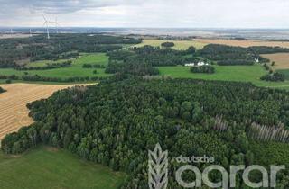 Gewerbeimmobilie kaufen in 07955 Auma, Naturidyll auf ca. 2,5 ha zw. Gera und Hof - Laubmischwald mit Weiher