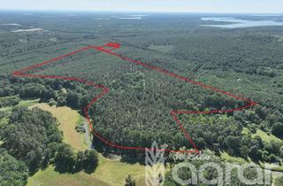 Gewerbeimmobilie kaufen in 02943 Boxberg, Kiefernmischwald (ca. 18 ha) im Lausitzer Seenland bei Boxberg