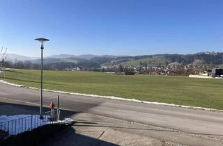 Wohnung kaufen in 88171 Weiler-Simmerberg, 2025 komplett renovierte (+neuem Bad) stilvolle 2-Raum-EG-Wohnung mit Balkon in Weiler-Simmerberg