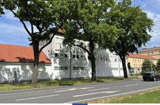Wohnung mieten in 01968 Senftenberg, Perfekte 2-Zimmerwohnung mit großem Wohnzimmer und Duschbad in Senftenberg!