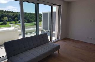 Penthouse mieten in Forststraße 14, 70794 Filderstadt, Helle 2,5-Zimmer-Penthouse-Wohnung mit EBK in Filderstadt-Plattenhardt
