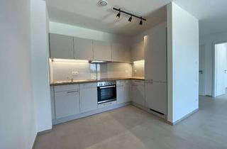 Wohnung mieten in Falterstraße 30, 75428 Illingen, Neuwertige, energieeffiziente Wohnung mit zwei Zimmern und Balkon in Illingen