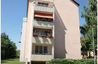 Wohnung mieten in Friedrich-Engels-Straße 29, 04916 Herzberg, Frisch renovierte 2-Raum-Wohnung mit Balkon und Blick ins Grüne – ruhig und gepflegt wohnen!