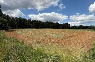 Grundstück zu kaufen in 91207 Lauf, Traumhaftes Baugrundstück - Ruhige Lage in Lauf Kuhnhof