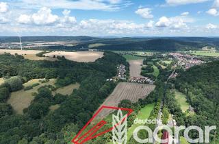 Grundstück zu kaufen in 36460 Frauensee, Acker mit Laubmischwald (ca. 1 ha) westlich von Bad Salzungen