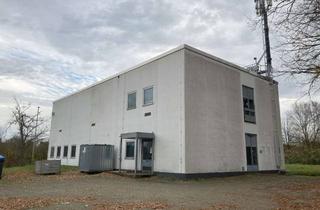 Gewerbeimmobilie kaufen in Reislinger Straße 202, 38446 Reislingen, Gewerbeobjekt mit Wohnentwicklungspotenzial am Rande von Wolfsburg