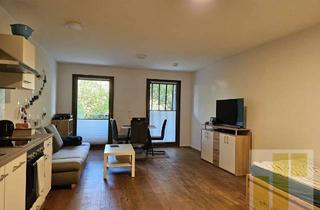 Wohnung mieten in 94234 Viechtach, 1-Zimmer-Appartment zentrumsnah in Viechtach, mit Terrasse, Carport und EBK