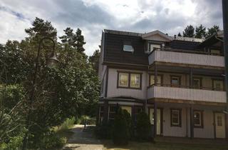 Wohnung mieten in Astrid-Lindgren-Platz, 14822 Borkwalde, BESICHTIGUNG 27.08.20525 um 15 UHR - schöne Wohnung mit Balkon