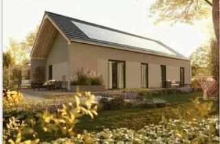 Haus kaufen in 29396 Schönewörde, Der Schöne Moderne Bungalow