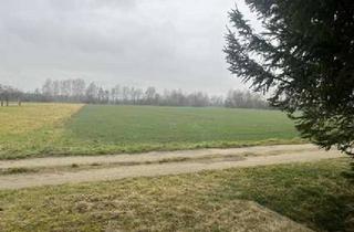 Bauernhaus kaufen in 01990 Großkmehlen, Ehemaliger Bauernhof mit oder ohne landwirtschaftliche Flächen