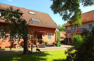 Haus kaufen in 29320 Hermannsburg, Zwei Wohn,- und Geschäftshäuser in zentraler Ortslage