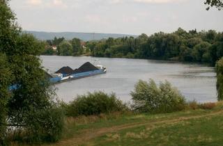 Haus mieten in 63512 Hainburg, Reihenendhaus direkt am Main mit herrlichem Blick
