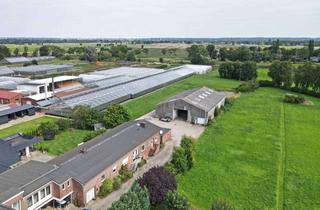 Gewerbeimmobilie kaufen in 21037 Kirchwerder, Gebäude-Ensemble mit Wohn- & Gewerbenutzung, großer Lagerhalle und Elbzugang