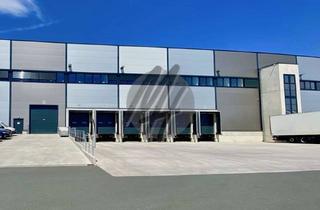 Büro zu mieten in 68649 Groß-Rohrheim, NEUBAU ✓ WGK + KÜHLUNG ✓ IDEAL FÜR PHARMA ✓ Kühllager (10.000 m²) & Büro (500 m²)