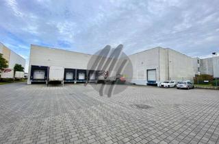 Büro zu mieten in 63755 Alzenau, SCHNELL VERFÜGBAR ✓ RAMPE + EBEN ✓ Lager (4.200 m²) mit Büro (250 m²) & Freilager (1.500 m²)