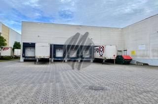 Büro zu mieten in 63801 Kleinostheim, SCHNELL VERFÜGBAR ✓ RAMPE + EBEN ✓ Lager (4.200 m²) mit Büro (250 m²) & Freilager (1.500 m²)
