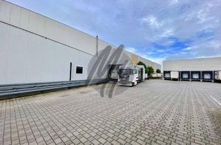 Büro zu mieten in 63796 Kahl, SCHNELL VERFÜGBAR ✓ RAMPE + EBEN ✓ Lager (4.200 m²) mit Büro (250 m²) & Freilager (1.500 m²)