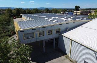 Büro zu mieten in 67136 Fußgönheim, Lager-/Produktionsfläche mit repräsentativem Büro in verkehrsgünstiger Lage