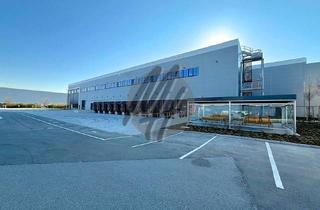 Büro zu mieten in 63179 Obertshausen, KEINE PROVISION ✓ RAMPE + EBEN ✓ 24/7 ✓ WGK 3 ✓ Lager-/Logistik (5.000 m²) & Büro (300 m²)