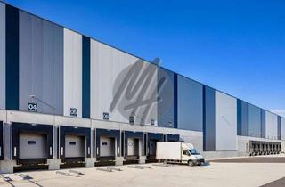Büro zu mieten in 64319 Pfungstadt, NEUBAU / ERSTBEZUG ✓ RAMPE + EBEN ✓ Lager-/Logistik (20.000 m²) & Büro (1.000 m²)