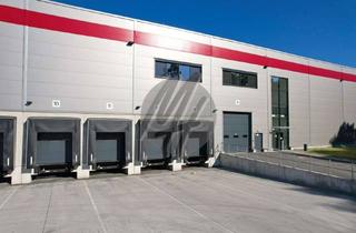 Büro zu mieten in 64584 Biebesheim, NEUBAU / ERSTBEZUG ✓ RAMPE + EBEN ✓ Lager-/Logistik (10.000 m²) & Büro (500 m²)