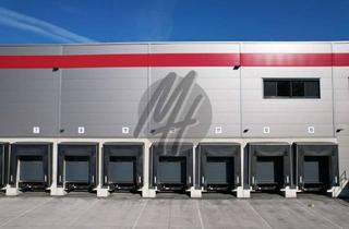 Büro zu mieten in 68649 Groß-Rohrheim, NEUBAU / ERSTBEZUG ✓ RAMPE + EBEN ✓ Lager-/Logistik (10.000 m²) & Büro (500 m²)
