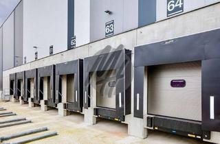 Büro zu mieten in 64319 Pfungstadt, NEUBAU / ERSTBEZUG ✓ RAMPE + EBEN ✓ Lager-/Logistik (10.000 m²) & Büro (500 m²)
