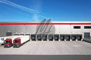 Büro zu mieten in 64584 Biebesheim, NEUBAU / ERSTBEZUG ✓ RAMPE + EBEN ✓ Lager-/Logistik (20.000 m²) & Büro (1.000 m²)