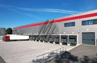 Büro zu mieten in 68649 Groß-Rohrheim, NEUBAU / ERSTBEZUG ✓ RAMPE + EBEN ✓ Lager-/Logistik (20.000 m²) & Büro (1.000 m²)