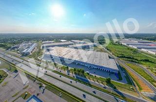 Gewerbeimmobilie mieten in 64579 Gernsheim, ! Kurz vor Fertigstellung ☆ Neubau Logistikhalle ☆ Photovoltaikanlage ☆ hochwertig ☆ teilbar !