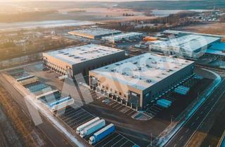 Gewerbeimmobilie mieten in 63571 Gelnhausen, ! Logistikneubau ☆ kurz vor Fertigstellung ☆ WGK-Folie vorhanden ☆ hochwertig ☆ teilbar !