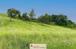 Grundstück zu kaufen in 69412 Eberbach, Wohnen im Grünen: 795 m² Baugrundstück in Eberbach – sofort bebaubar!