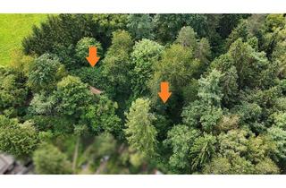 Grundstück zu kaufen in 66954 Stadtmitte, +++ Am Stadtrand von Pirmasens: Großes Grundstück mit kleinem Haus und Garten im Imserbühl +++