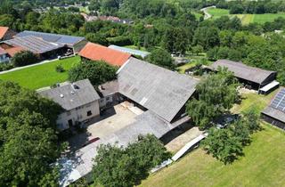 Lager kaufen in 71691 Freiberg, Kompletter Bauernhof bestehend aus Wohnhaus, Scheune, Stall, Maschinenhalle & Ländereien