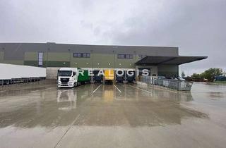 Gewerbeimmobilie mieten in 04435 Schkeuditz, Schkeuditz | ca. 4.300 m² Neubaulogistikfläche | Rampen & ebenerdig