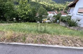 Grundstück zu kaufen in 76599 Weisenbach, SCHÖNE AUSSICHTEN FÜR EIN GEMEINSAMES ZUHAUSE