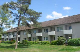 Wohnung mieten in Eichendorffstraße 19, 29640 Schneverdingen, 1 Zimmer - Erdgeschosswohnung mit Terrasse für Senoiren