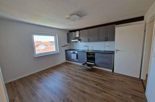 Wohnung mieten in 68753 Waghäusel, Moderne 2,5 Zi. DG mit Klimaanlage in Wiesental