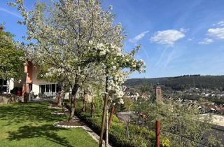 Villa kaufen in 66976 Rodalben, Villa in Südlage mit Weitblick - Provisionsfrei!