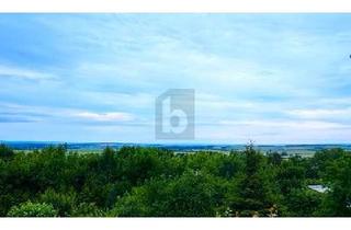 Wohnung kaufen in 06493 Ballenstedt, Ballenstedt - RENOVIERT & MIT TRAUMHAFTEM PANORAMABLICK