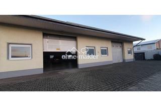 Büro zu mieten in 55545 Bad Kreuznach, TEIL VERMIETUNG MÖGLICH von Privat zu Vermieten. TOP gepflegte, helle Büroetage mit Halle