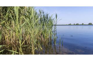 Gewerbeimmobilie kaufen in 17192 Waren, Vollständig saniertes Gästehaus in einzigartiger Wasserlage an der Müritz eigener Bootsanleger