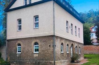 Mehrfamilienhaus kaufen in 06628 Lanitz-Hassel-Tal, Lanitz-Hassel-Tal - Mehrfamilienhaus (4 Wohnungen) zzgl. Ferienwohnung