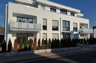 Wohnung kaufen in 34225 Baunatal, Baunatal - Erstbezug - 3 Zimmer, Küche, Bad, Gäste-WC und BalkonTerrasse in Baunatal Großenritte
