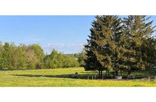 Wohnung mieten in Ortsteil Eismerszell, 82272 Moorenweis, "Entspannen im Grünen" Schöne Erdgeschosswohnung mit eigenem Garten in Moorenweis /OT Eismerszell