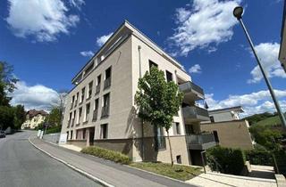 Penthouse mieten in Haußerstraße 24, 72076 Tübingen, Exklusive 4,5-Zimmer-Penthouse-Wohnung mit lux. Ausstattung, 2 Terrassen und Panoramablick