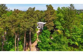 Haus kaufen in 21244 Buchholz, Über den Dächern von Buchholz in der Nordheide