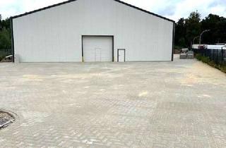 Gewerbeimmobilie mieten in 29683 Bad Fallingbostel, Lagerhalle/Warmhalle