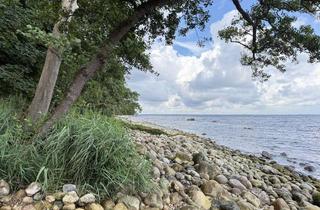 Gewerbeimmobilie kaufen in 18551 Lohme, Privates Ostseeparadies – Natur pur mit eigenem Strand in Alleinlage