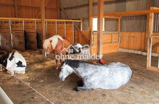 Gewerbeimmobilie kaufen in 88605 Meßkirch, Gepflegter Pferdehof Aktivstall mit Halle und RP nahe Schweizer Grenze *keine Maklergeb*